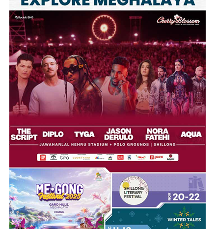 Cherry Blossom - 2025